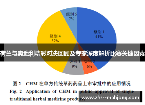 荷兰与奥地利精彩对决回顾及专家深度解析比赛关键因素 荷兰与奥地利精彩对决回顾及专家深度解析比赛关键因素